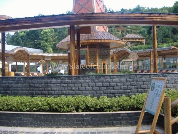 black mushroom slate 31
