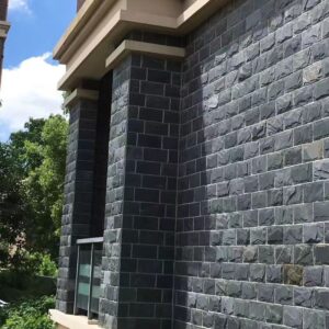 black mushroom slate 5