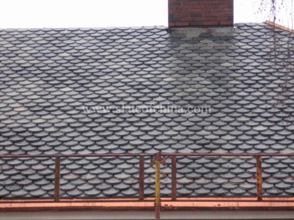 fishscale roofing slate 2