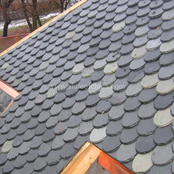 fishscale roofing slate 4